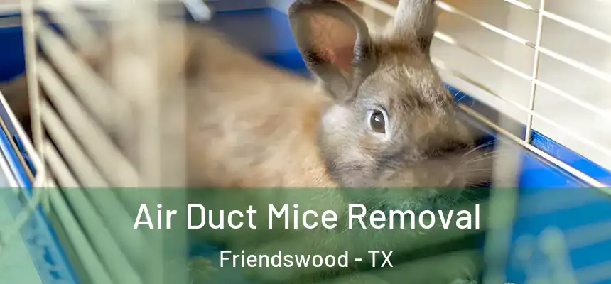  Air Duct Mice Removal Friendswood - TX