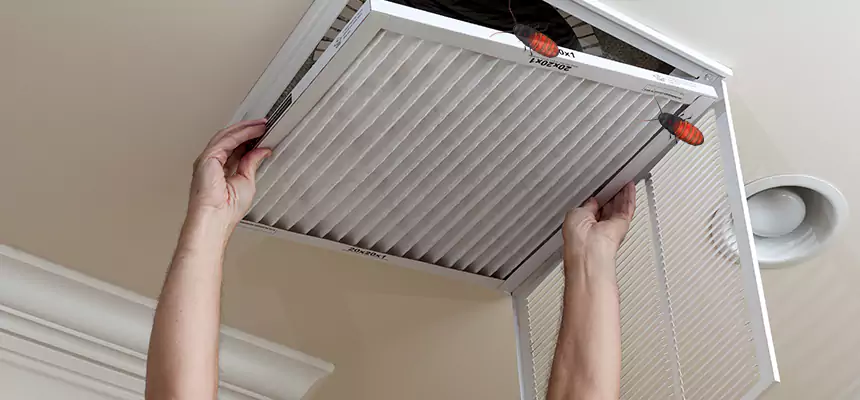 Preventive Cockroach-Proofing for Ducts in Friendswood
