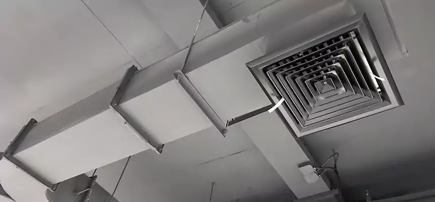 Restorative Allergy Relief Vent Cleaning – Coil, Blower & Housing Detail in Friendswood