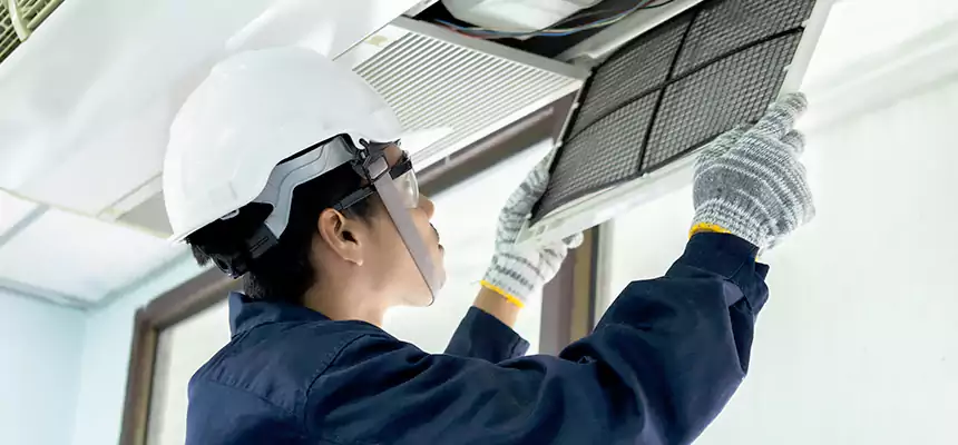 Our Mold & Mildew Removal from Air Ducts Services in Friendswood, TX