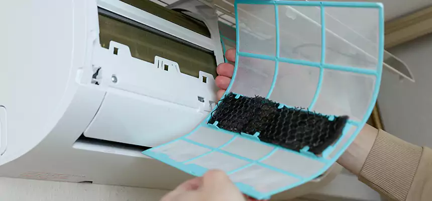 Gentle Ductwork Odor-Control Pet Dander Duct Cleaning in Friendswood, TX