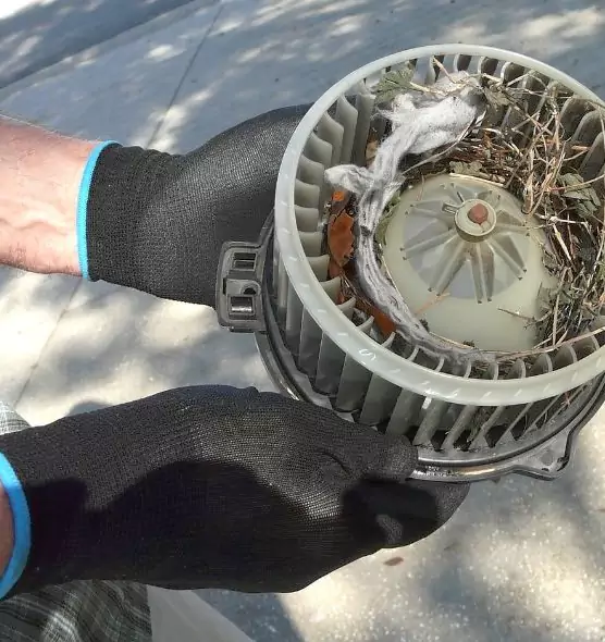 About Air Duct Rat Removal in Friendswood, TX