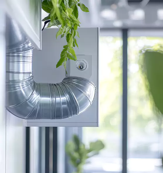 Professional Eco-Safe Dryer Vent Cleaning in Friendswood, TX