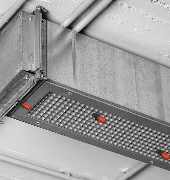 Affordable Insect Removal from Air Ducts in Friendswood, TX