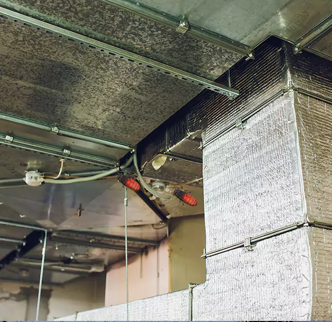 Why Homeowners & Businesses Trust Us in Friendswood, TX?