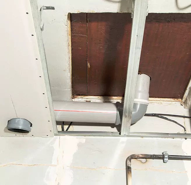 Why Homeowners & Businesses Trust Us in Friendswood, TX?