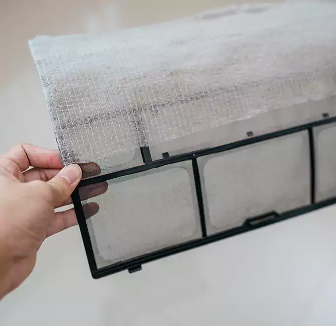 Why Homeowners & Businesses Trust Us in Friendswood, TX?