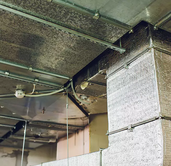 Why Homeowners & Businesses Trust Us in Friendswood, TX?