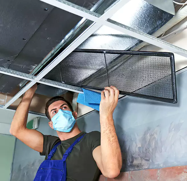 Why Homeowners Businesses Trust Us in Friendswood, TX